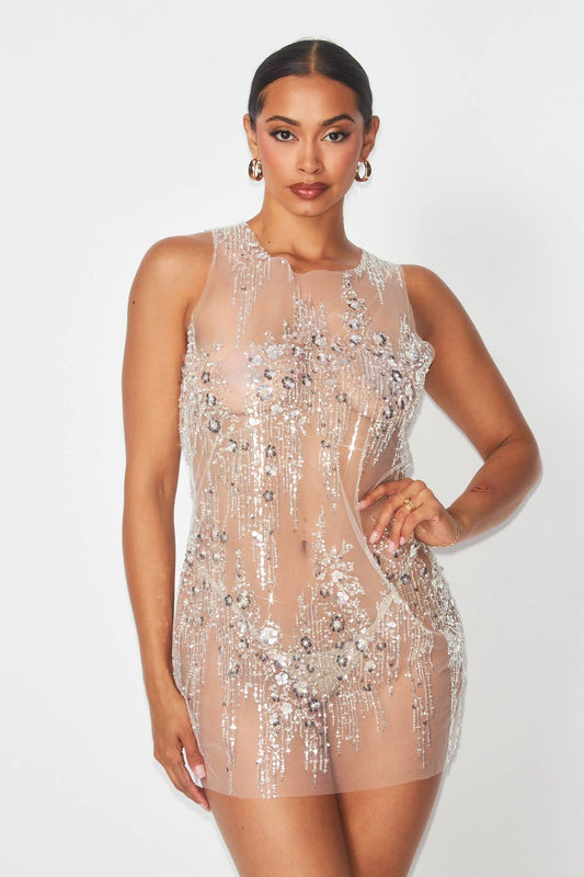 “Nina” Sequin Embellished Mesh Mini Dress